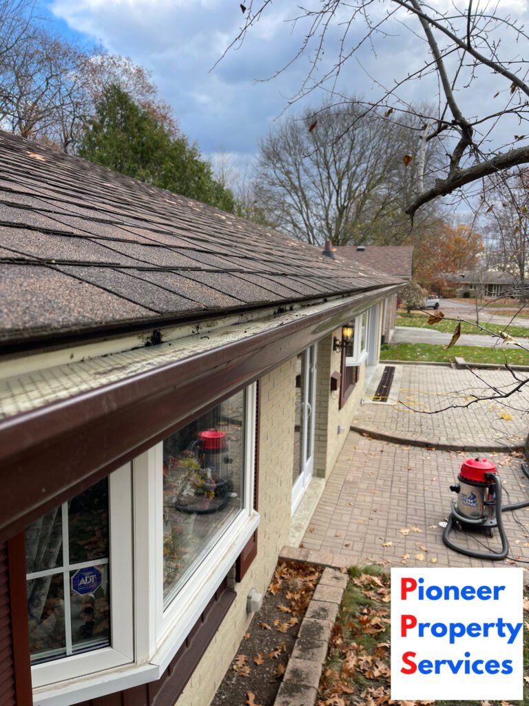 Gutter Cleaning Eavestrough Cleaning 